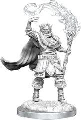 Elf Cleric Male (Nolzur's - W16)